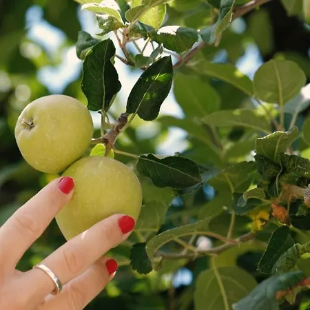 Appartamento Pedossa *