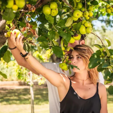 Apartamento Pedossa Ripe