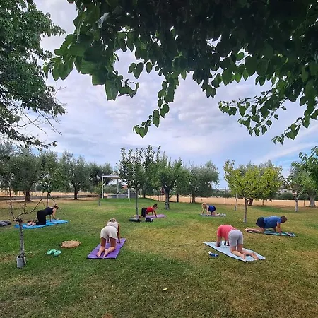 Appartamento Pedossa *