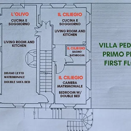 Pedossa