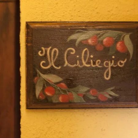 Pedossa Apartamento Ripe