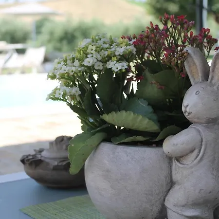 Pedossa Appartamento *